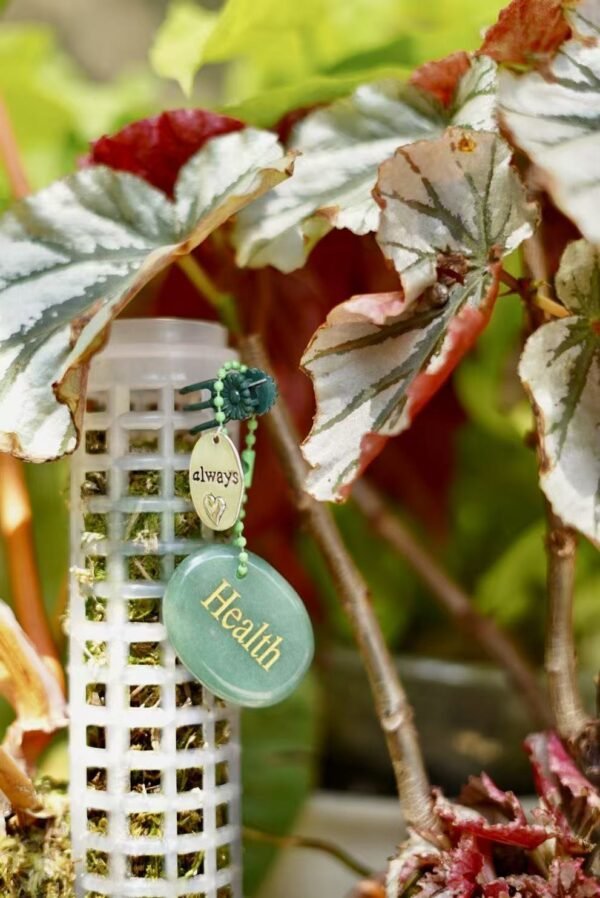 Healing crystals engraved keychain - Image 4
