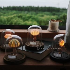 shell seaurchin conch lamp night light ornaments handmand graduation gift for friends and family