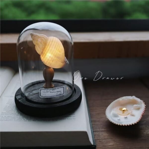 shell seaurchin conch lamp night light ornaments handmand graduation gift for friends and family - Image 3